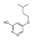 4-(3-methylbutoxy)-1H-pyridazin-6-one