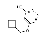 4-(cyclobutylmethoxy)-1H-pyridazin-6-one