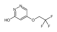 4-(2,2,2-trifluoroethoxy)-1H-pyridazin-6-one