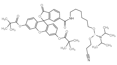 6-FAM 亚磷酰胺