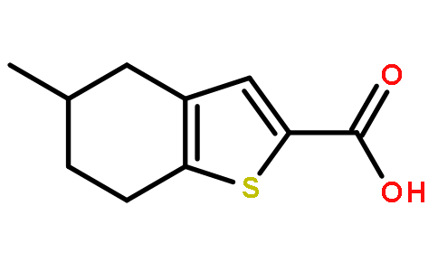 5-甲基-4,5,6,7-四氢-1-苯并噻吩-2-羧酸