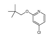 4-chloro-2-(2,2-dimethylpropoxy)pyridine