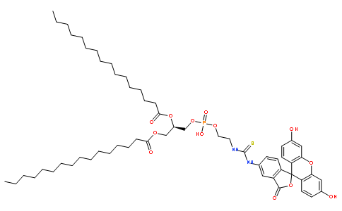 Fluorescein DHPE [N-(Fluorescein-5-thiocarbonyl)-1,2-dihexadecyl-sn-gycero-3-phosphoethanolamine, triethylammonium salt]