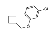 4-Chloro-2-(cyclobutylmethoxy)pyridine