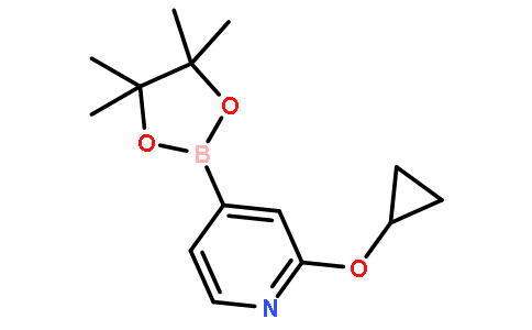 2-Cyclopropyloxypyridine 4-pinacolboronate