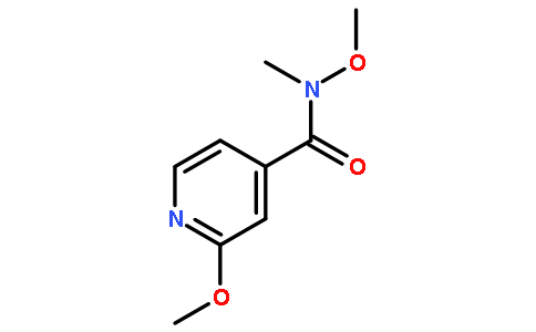 N,2-二甲氧基-N-甲基异烟酰胺