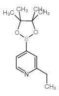 2-乙基吡啶-4-硼酸频那醇酯