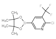 2-氯-5-(4,4,5,5-四甲基-1,3,2-二噁硼烷-2-基)-3-(三氟甲基)吡啶