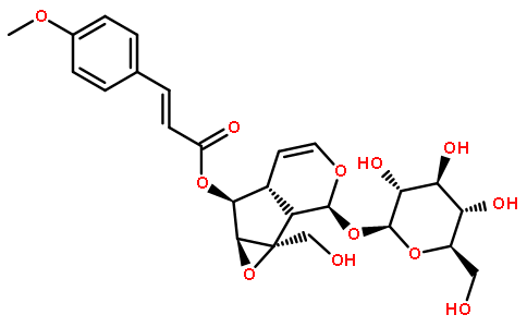 6-O-对甲氧基肉桂酰梓醇