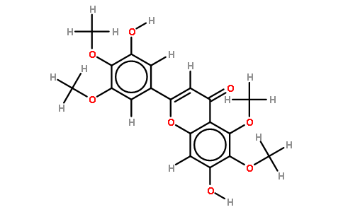 奇蒿黄酮