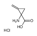 1-Carboxy-2-methylenecyclopropanaminium chloride