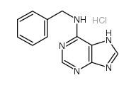 6-苄氨基嘌呤盐酸盐
