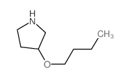 3-丁氧基吡咯烷