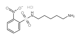 N-(5-氨戊基)-2-硝基苯磺酰胺盐酸盐