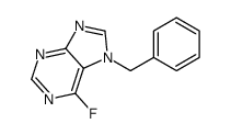 7-benzyl-6-fluoropurine