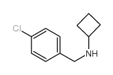 (4-氯苄基)-环丁基胺