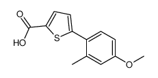 5-(4-甲氧基-2-甲基苯基)噻吩-2-羧酸