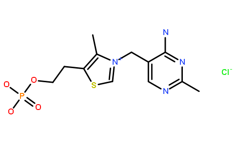 3-[(4-氨基-2-甲基-5-嘧啶基)甲基]-4-甲基-5-[2-(膦酰氧基)乙基]-噻唑氯化物二水合物