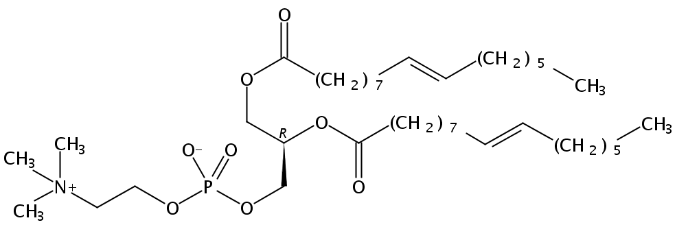 1,2-dipalmitoleoyl-sn-glycero-3-phosphocholine