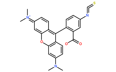 四甲基罗丹明-5-异硫氰酸酯