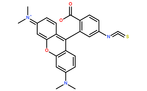 四甲基罗丹明异硫氰酸酯