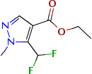 1-甲基-5-(二氟甲基)-1H-吡唑-4-羧酸乙酯