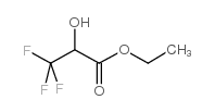 3,3,3-三氟-2-羟基丙酸乙酯