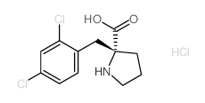 (2R)-2-[(2,4-dichlorophenyl)methyl]pyrrolidine-2-carboxylic acid,hydrochloride