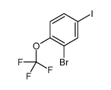 2-溴-4-碘(三氟甲氧基)苯
