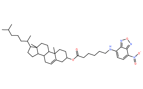 (3β,20R)-Cholest-5-en-3-yl 6-[(7-nitro-2,1,3-benzoxadiazol-4-yl)a mino]hexanoate