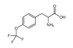 2-氨基-3-(4-三氟甲氧基-苯基)-丙酸