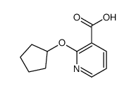 2-环戊基氧基-烟酸