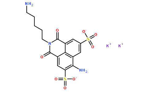 Lucifer yellow cadaverine  [N-(2-Aminopentyl)-4-amino-3,6-disulfo-1,8-naphthalene, dipotassium salt]