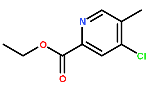 4-氯-5-甲基吡啶-2-羧基乙酯