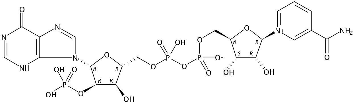 [5-(3-carbamoylpyridin-1-ium-1-yl)-3,4-dihydroxyoxolan-2-yl]methyl [hydroxy-[[3-hydroxy-5-(6-oxo-3H-purin-9-yl)-4-phosphonooxyoxolan-2-yl]methoxy]phosphoryl] phosphate