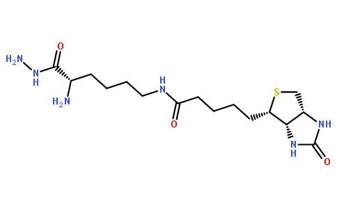 N-生物素酰基-L-赖氨酸酰肼