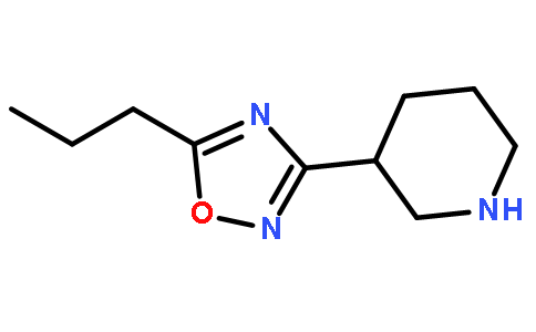 3-(5-丙基-[1,2,4]噁二唑-3-基)-哌啶