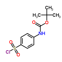 4-(氯磺酰基)苯基氨基甲酸叔丁酯