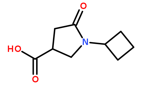 1-环丁基-5-氧代吡咯烷-3-羧酸