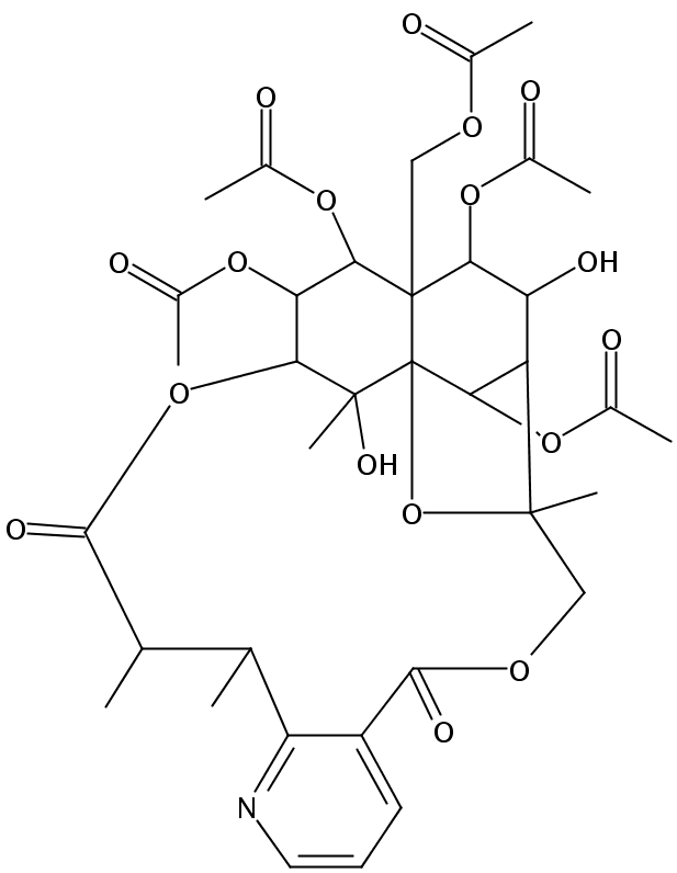 Aquifoliunine E-III