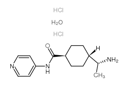反-4-[(1R)-1-氨基乙基]-N-4-吡啶-环己甲酰胺盐酸盐一水合物