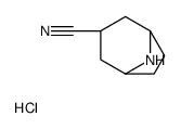 (1S,5R)-8-azabicyclo[3.2.1]octane-3-carbonitrile,hydrochloride
