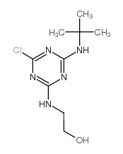 特丁津-2-羟基