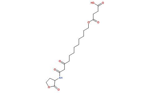 (S)-4-(10,12-二氧代-12-（2-氧代四氢呋喃-3-基氨基）十二基氧基)-4-氧代丁酸