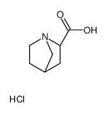 (2R,4R)-1-Azabicyclo[2.2.1]heptane-2-carboxylic acid hydrochlorid e (1:1)