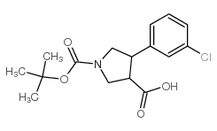 4-(3-氯-苯基)-吡咯烷-1,3-二羧酸 1-叔丁酯