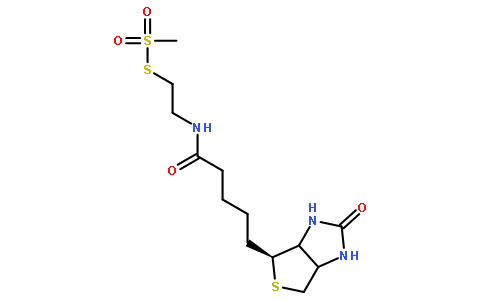 N-Biotinylaminoethyl Methanethiosulfonate