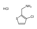 3-氯-2-噻吩甲胺盐酸盐