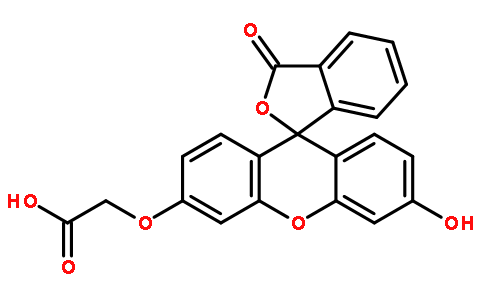 荧光素-O'-乙酸