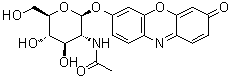 7-[[2-(乙酰氨基)-2-脱氧-beta-D-吡喃葡萄糖基]氧基]-3H-吩恶嗪-3-酮